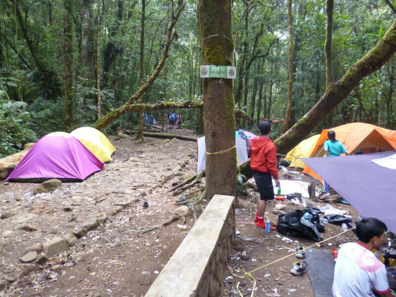 2958 mdpl Mt Gede-Pangrango