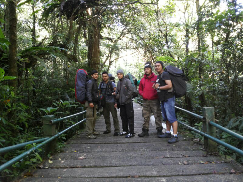 2958 mdpl Mt Gede-Pangrango