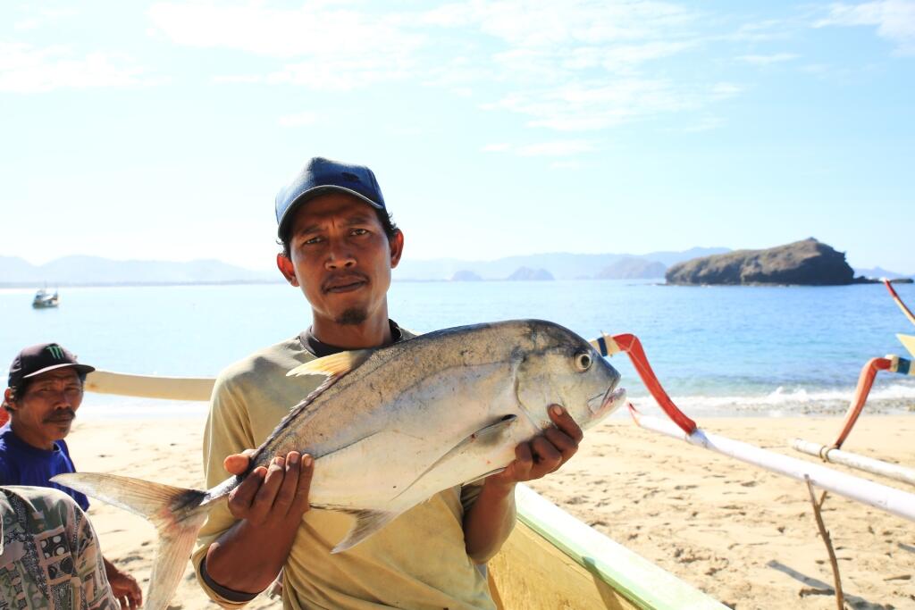 Papuma, Setitik Cahaya dari Jember