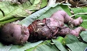 APA PERASAAN AGAN KALO LIAT BAYI INI