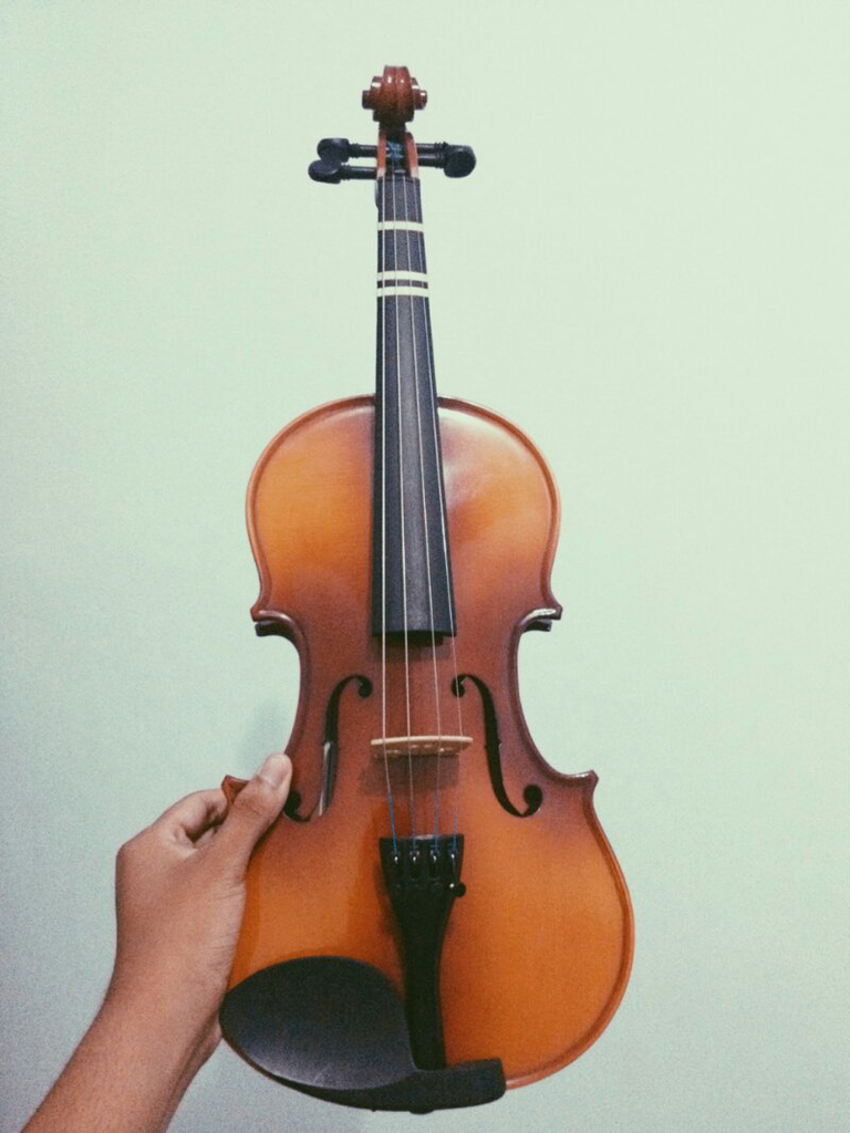 WTS BIOLA