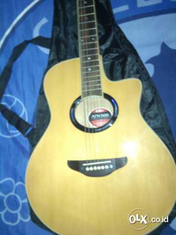 Gitar Akustik Apx Pabrikan new EQ 7545R