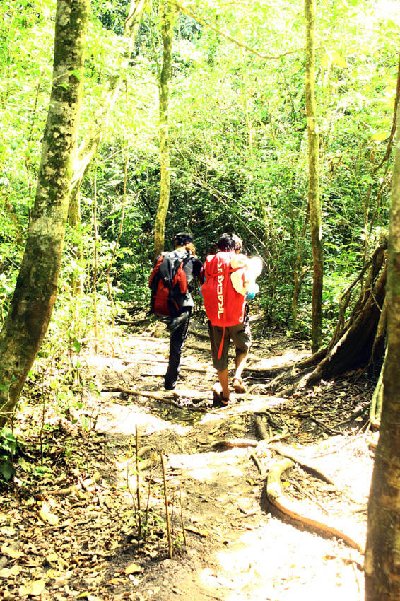 &#91;CatPer&#93; Pulau SEMPU Jalur Waru Waru share cost 