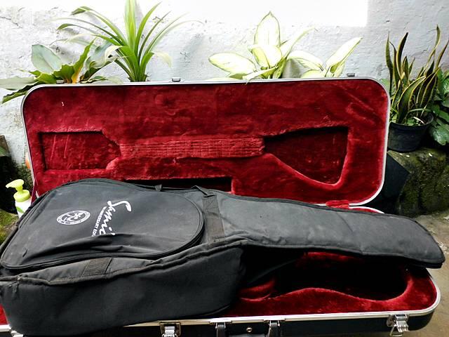 gitar hollow body JnD brodher pu modief wvcn