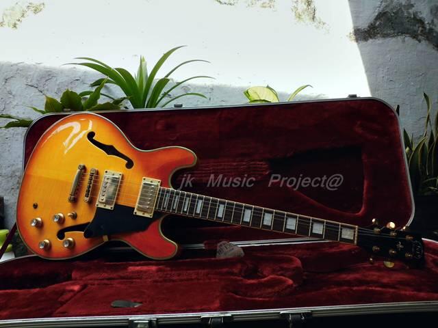 gitar hollow body JnD brodher pu modief wvcn