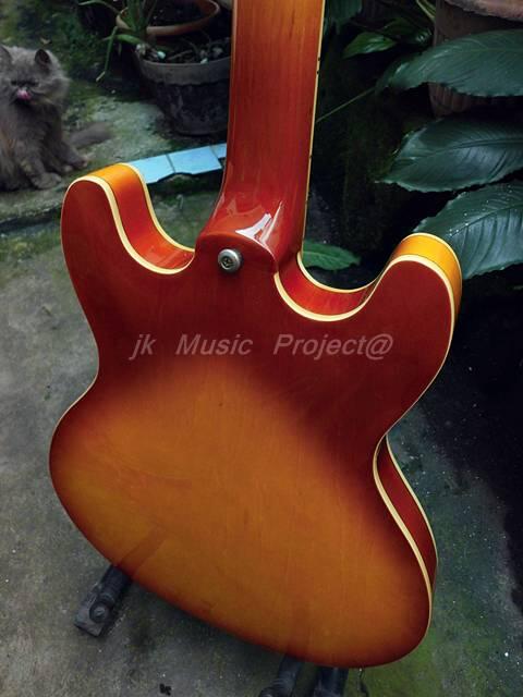 gitar hollow body JnD brodher pu modief wvcn