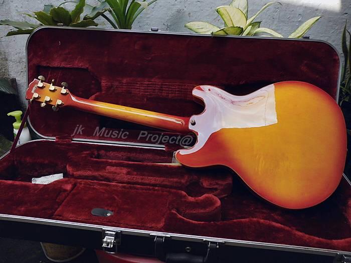 gitar hollow body JnD brodher pu modief wvcn