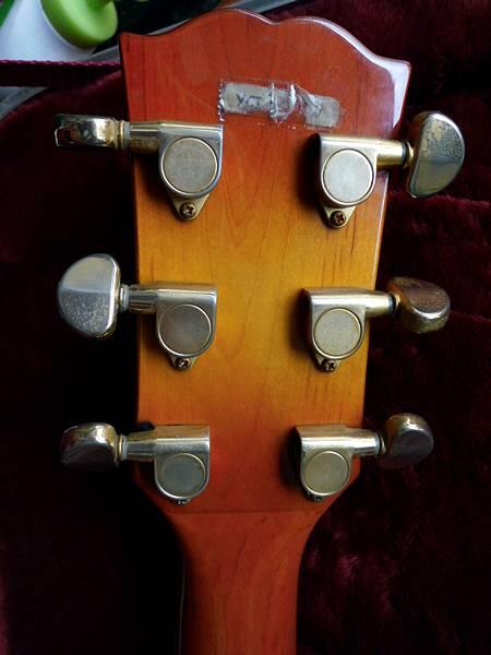 gitar hollow body JnD brodher pu modief wvcn