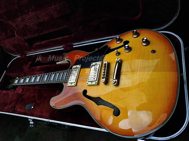 gitar hollow body JnD brodher pu modief wvcn
