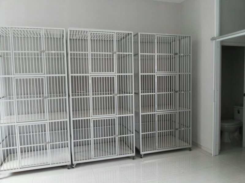 penitipan kucing murah depok