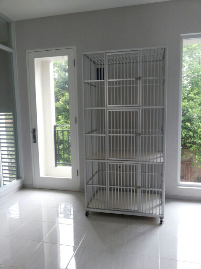 penitipan kucing murah depok