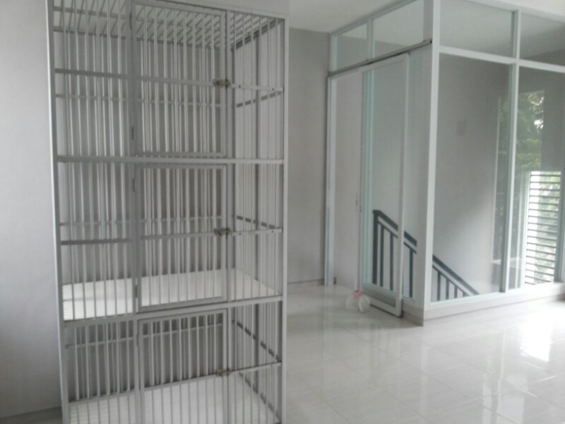 penitipan kucing murah depok