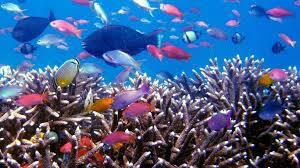 7 WISATA TERBAIK DI INDONESIA