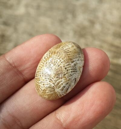 LELANG KERIKIL PART58 (JAMRUD MEMO,LABRADOLITE, BULU MONYET,KALIMAYA,DLL)