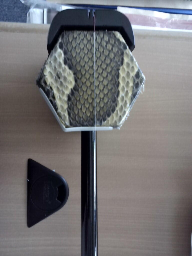 Chinese Violin (Er Hu)