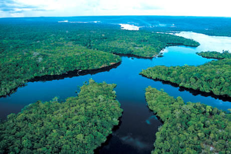 Misteri hilangnya peradaban Kuno di Sungai Amazon? 