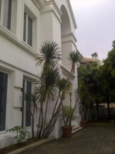 for rent house in mega kuningan