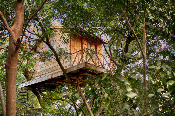 Rumah-Rumah Pohon Yang Paling Indah Dari Seluruh Dunia