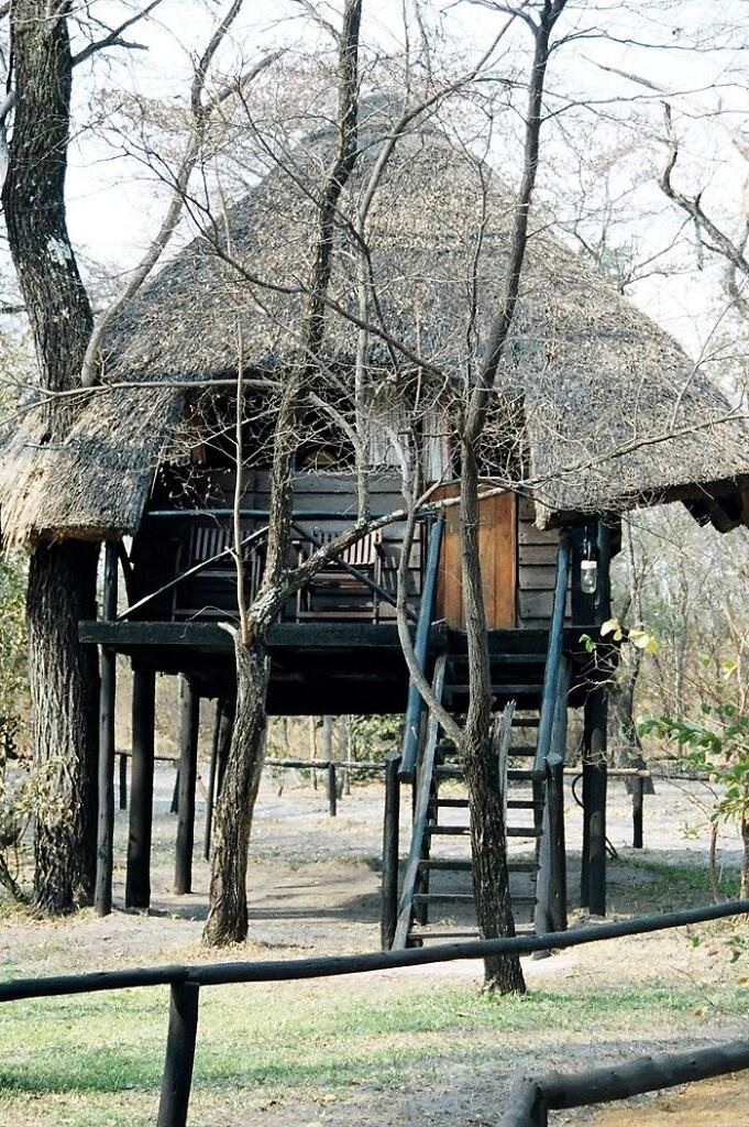 Rumah-Rumah Pohon Yang Paling Indah Dari Seluruh Dunia