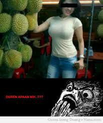 Lucu Gan &#91;Pict&#93;