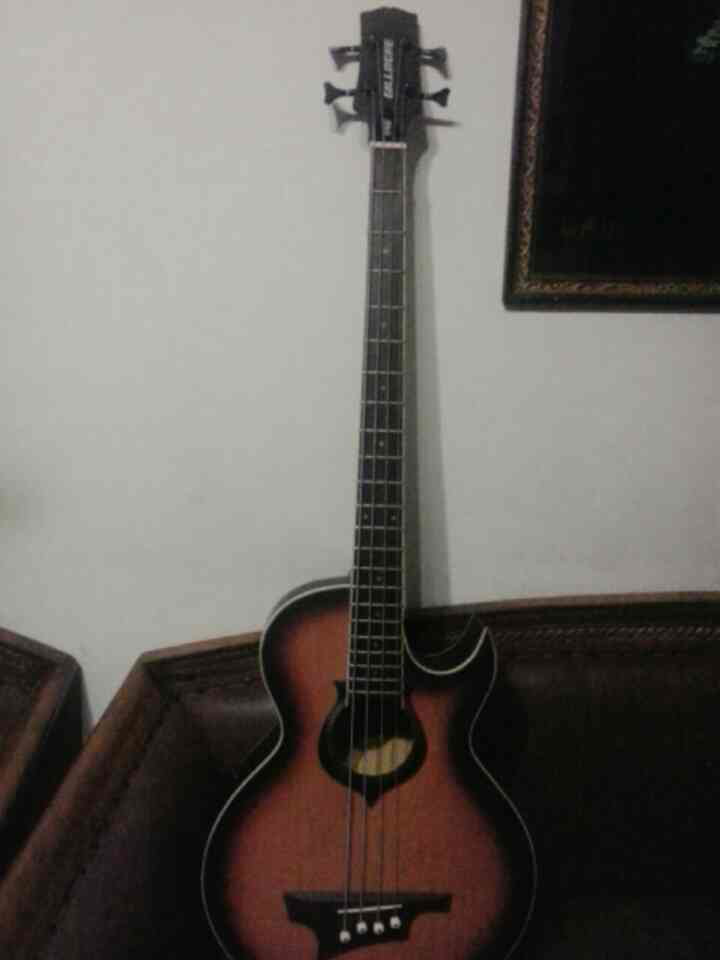 * Dijual gitar elektrik Schecter dan bass akustik Gillmore * urgent BU