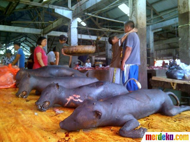 Konsumsi Daging Anjing, Antara Mitos Khasiat dan Kebiasaan