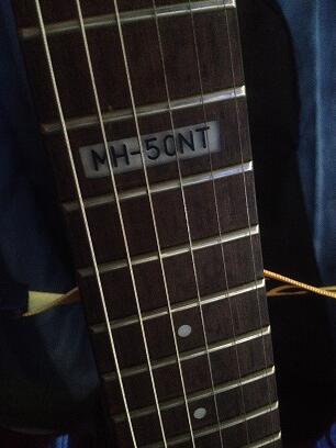 Murmer gan Gitar ESP LTD MH 50 NT
