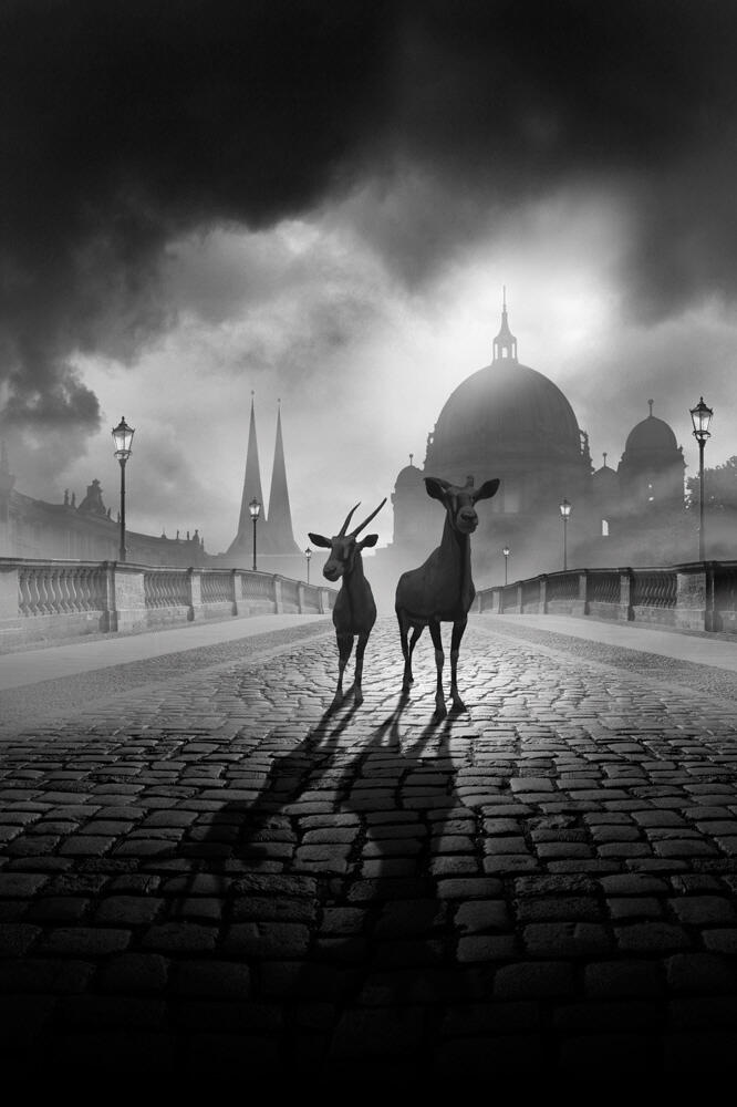 GAMBAR CREATIVITY BAGUS BUAT DEKSTOP GAN
