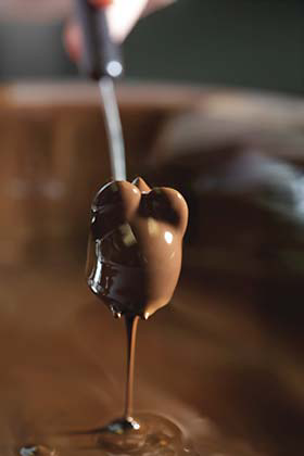 Aneka Rasa dan Jenis Coklat