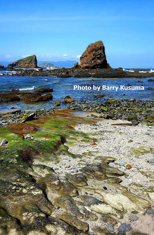 Papuma Jember Pantai terindah di Jawa Timur.