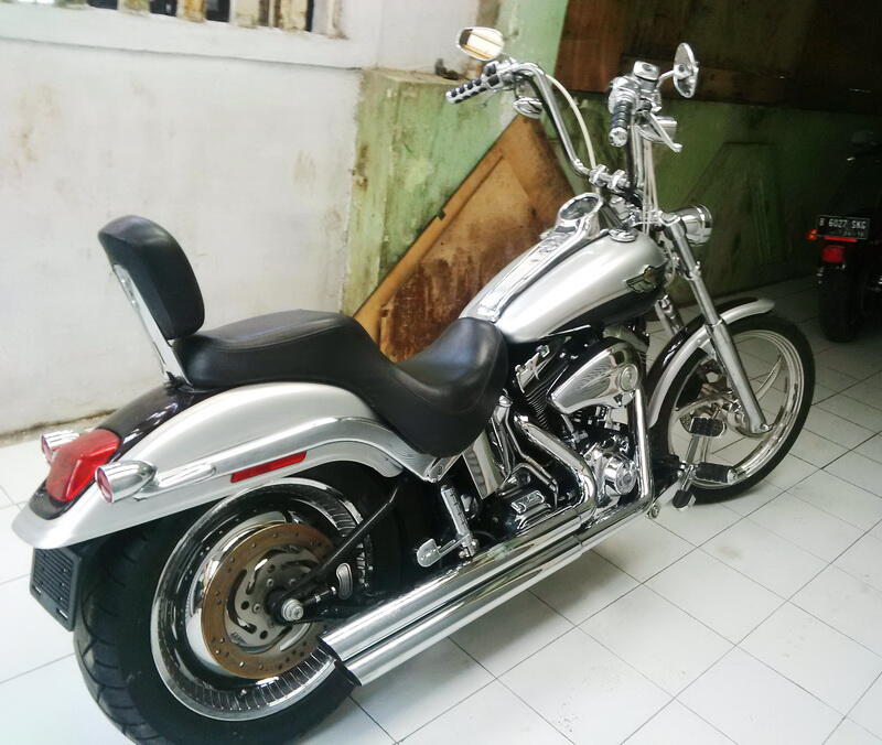 Платформы Softail