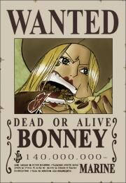 Daftar Buronan &#91;one piece&#93;