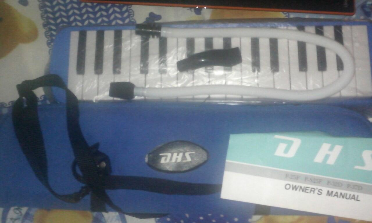 pianika dhs