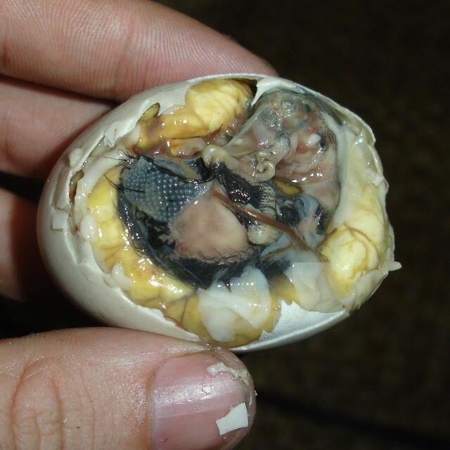 Makanan dari telur tapi agan agan pasti tak mau memakannya (YG G KUAT JG MASUK)
