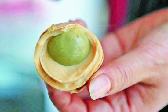 Makanan dari telur tapi agan agan pasti tak mau memakannya (YG G KUAT JG MASUK)