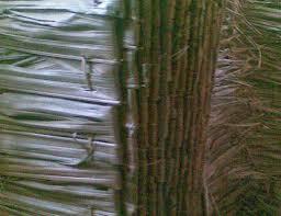 Saung bambu dari pengrajin dan petani bambu