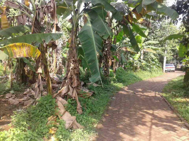 terjual jual tanah di ciater bsd kaskus terjual jual tanah di ciater bsd kaskus
