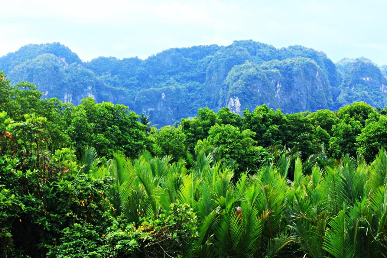 Jalan-jalan ke Sulawesi Selatan