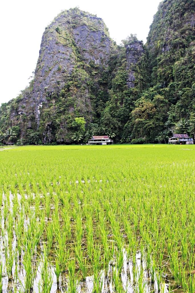 Jalan-jalan ke Sulawesi Selatan