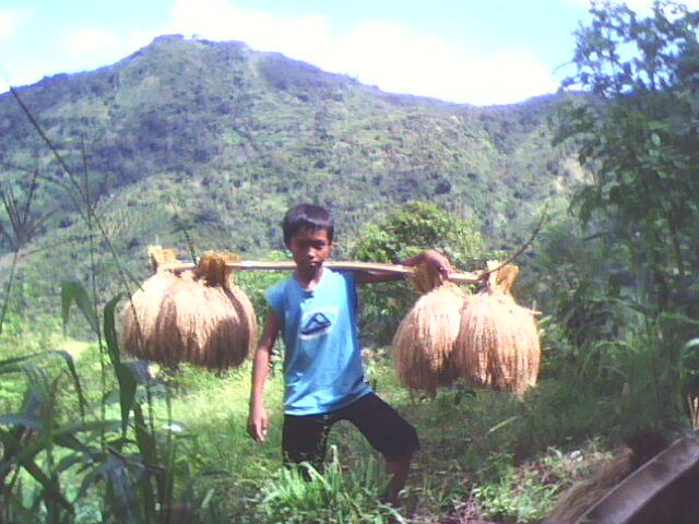KE MANA DESAKU...??