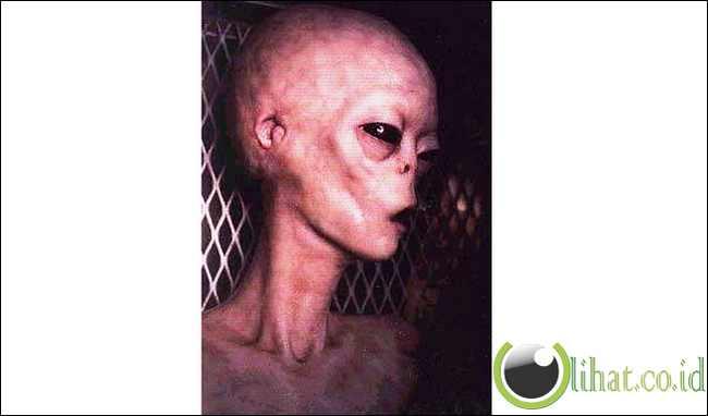 5 Foto Penampakan Alien yang paling terkenal di Dunia