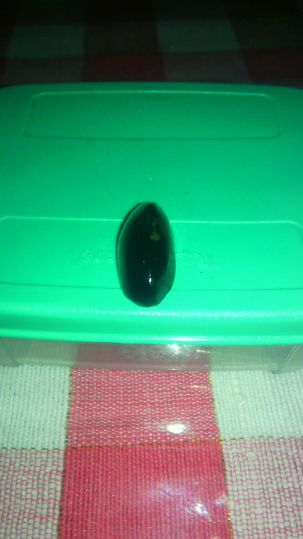 Kalimaya Black Opal Banten
