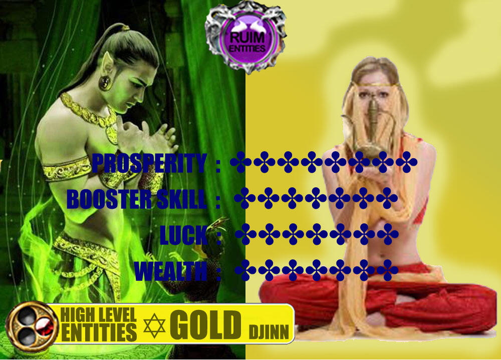 RUIM ENTITIES : SPECIAL HIGH LEVEL ENTITIES CONJURATION