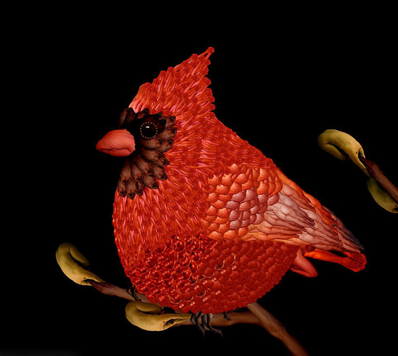 Amazing Picture Animal Dengan Model Bugil (BB++)