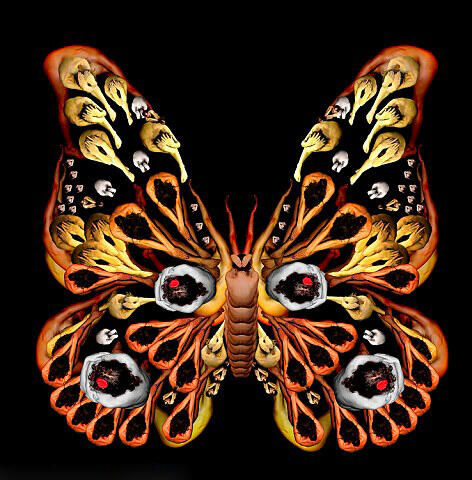 Amazing Picture Animal Dengan Model Bugil (BB++)