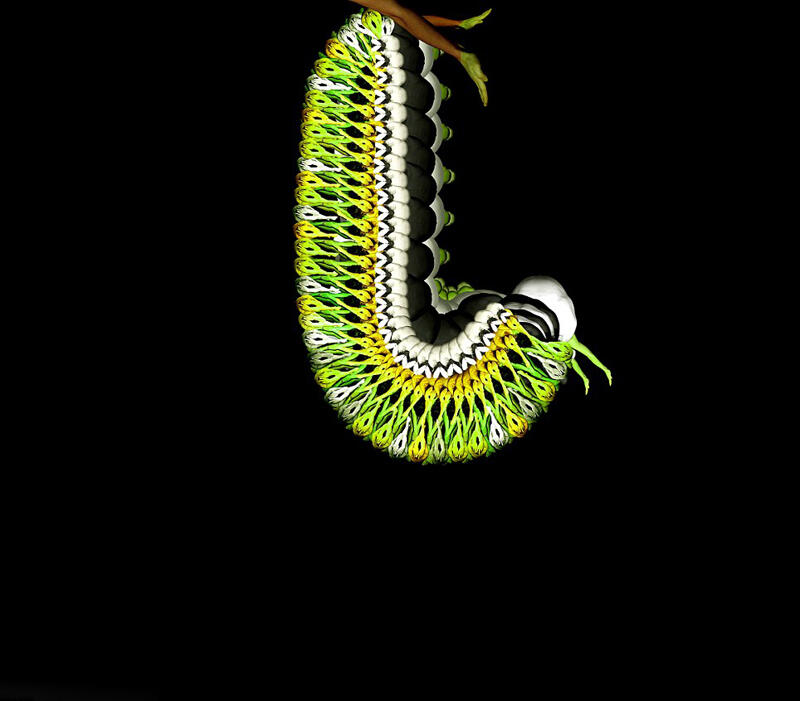 Amazing Picture Animal Dengan Model Bugil (BB++)
