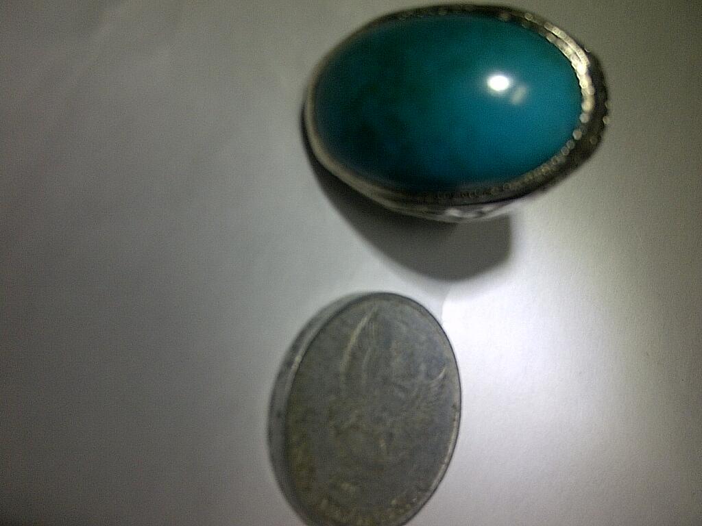 Bacan Palamea size sedang