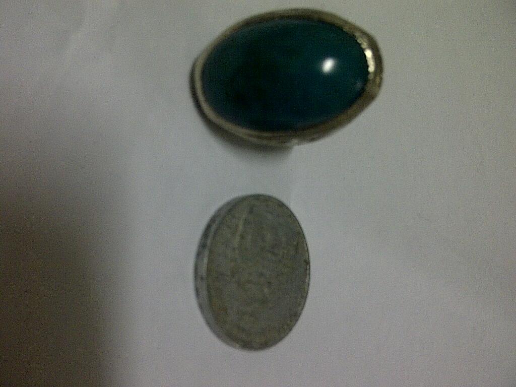 Bacan Palamea size sedang