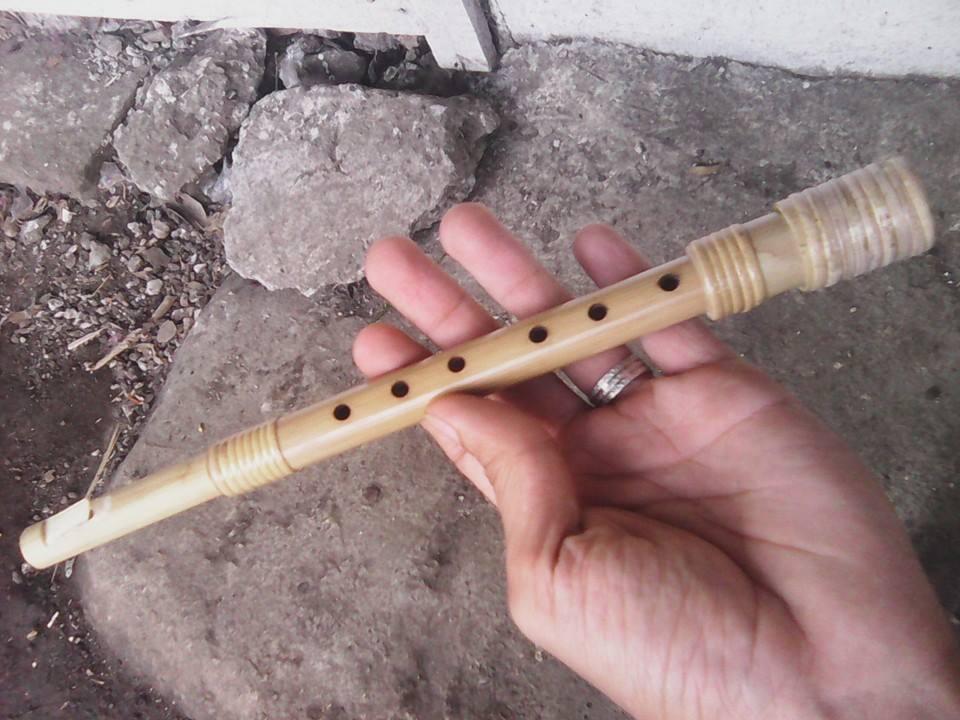 Gitar akustik Appergio S,trsutroad