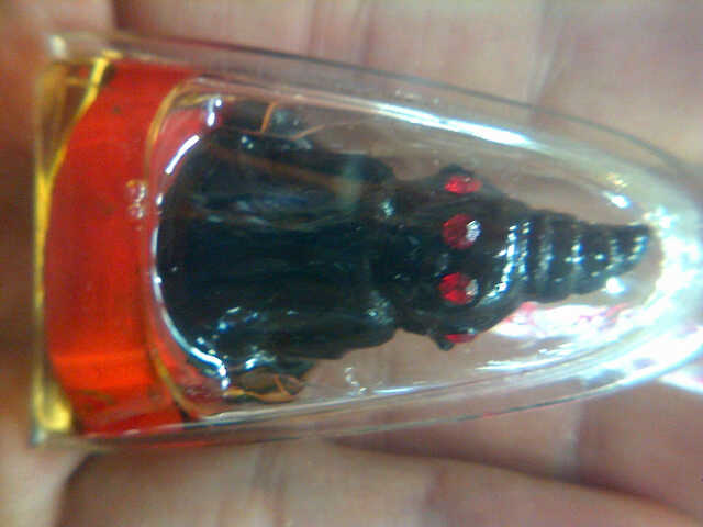 Thai Amulet "prangan 4 face" phra ajhan amnard